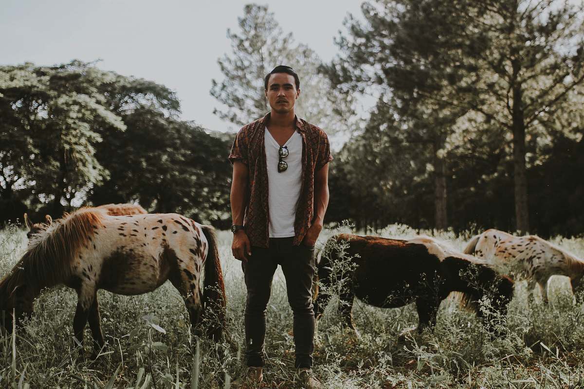 people man standing between horse during daytime horse