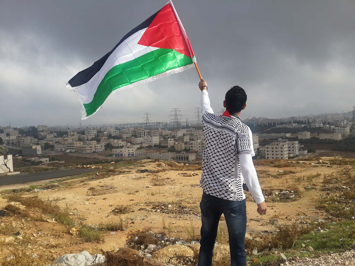 people man waving flag person