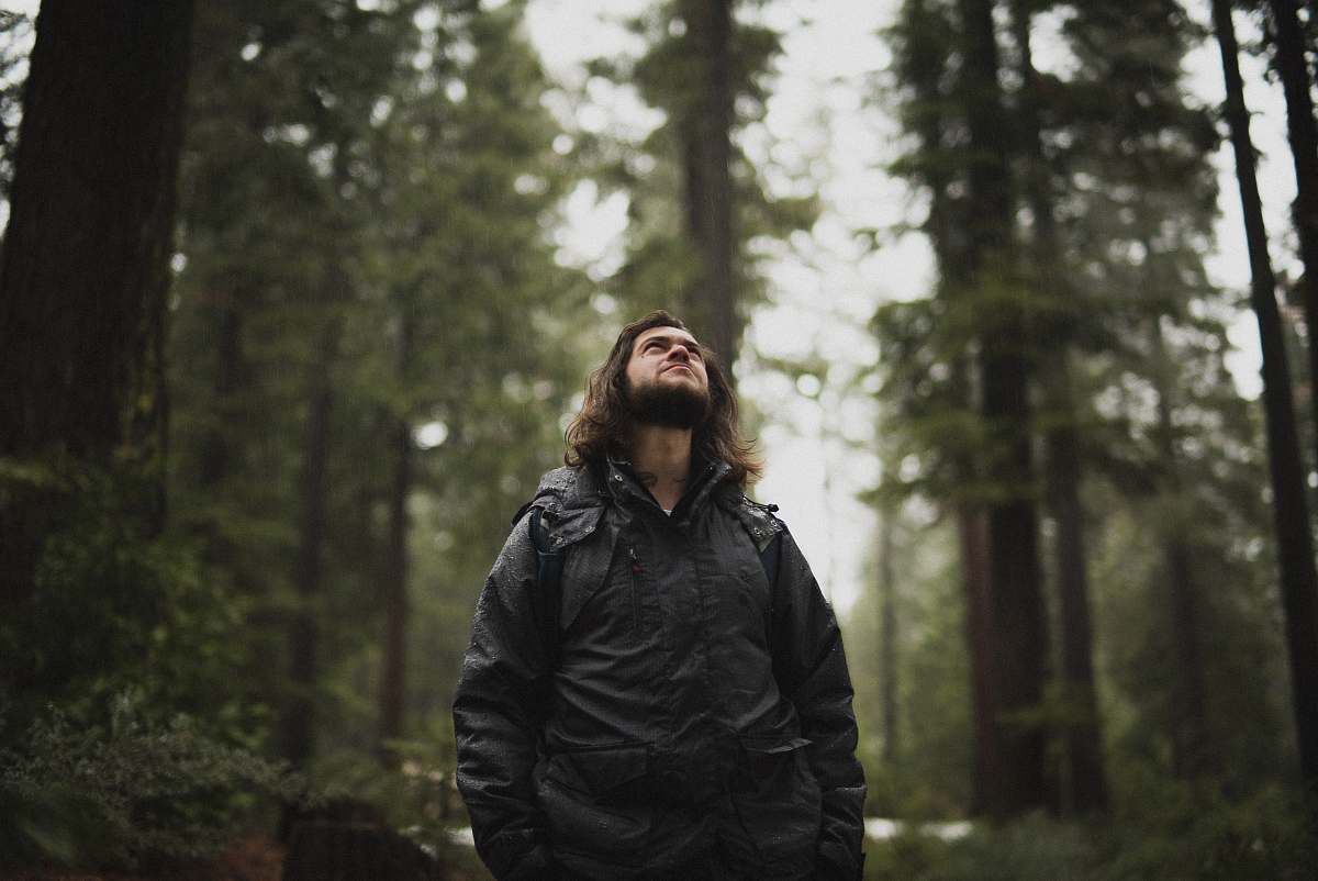 people man wearing black jacket looking up surrounded with tall trees person