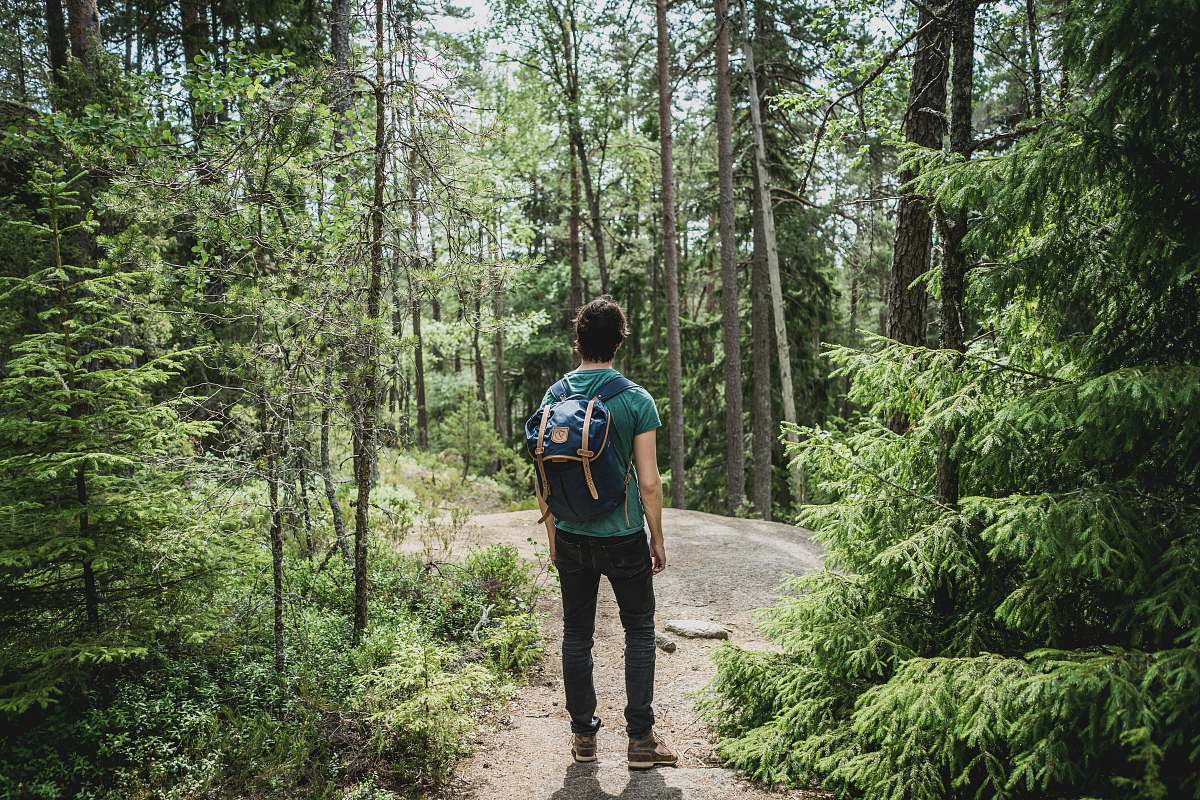 person man wearing blue backpack walking through forest people