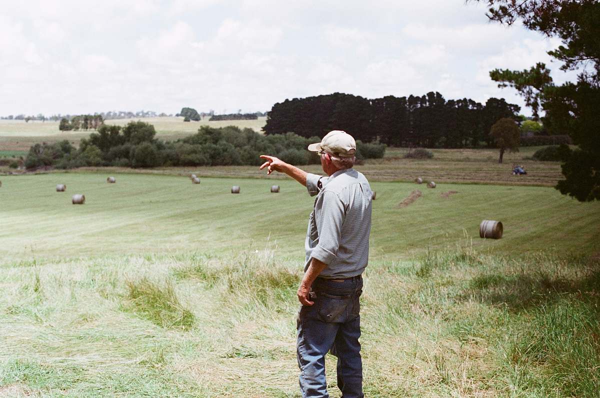 people man wearing gray long-sleeved shirt on green grass field person
