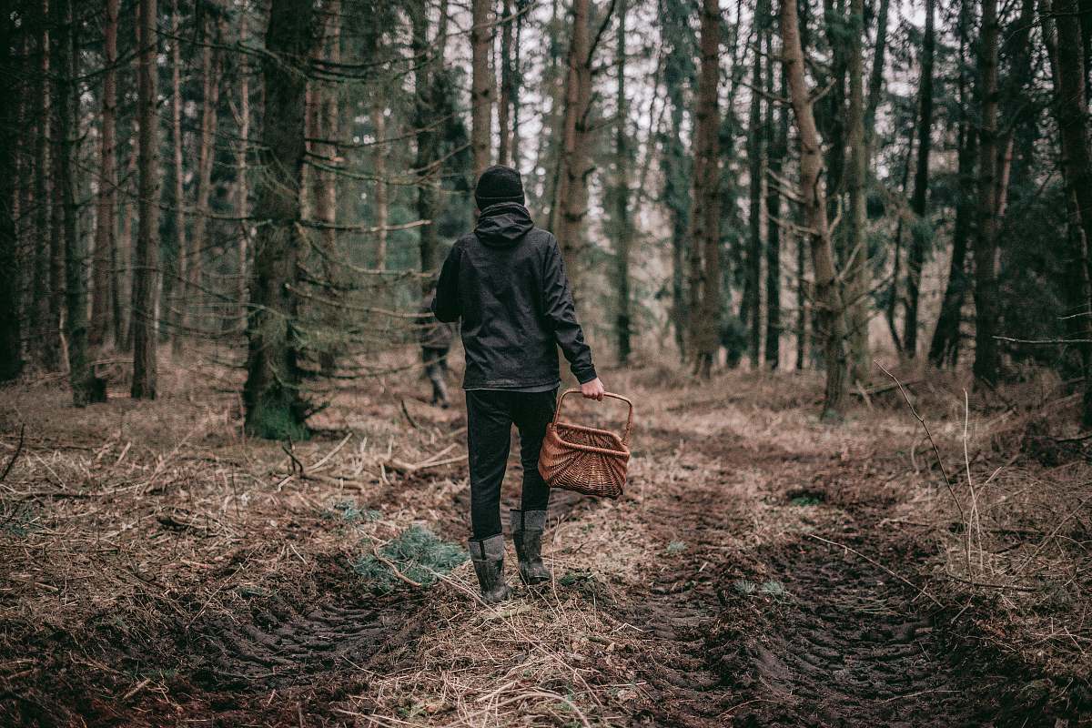 person person in black hoodie holding basket in forest during daytime forest
