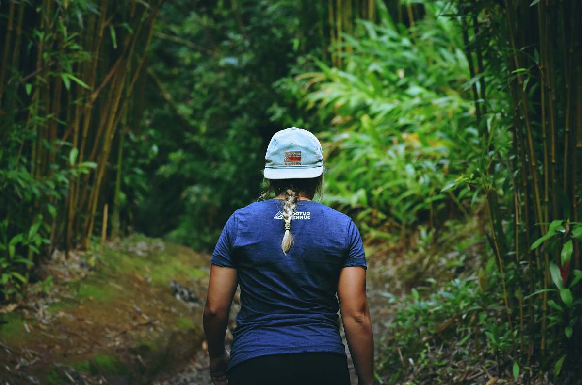 people person in blue shirt walking between bamboo trees person