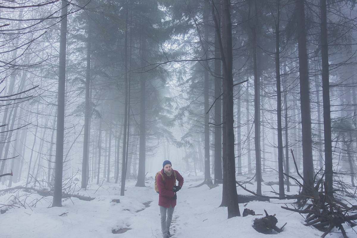 people person standing near bare tree during snowy day person