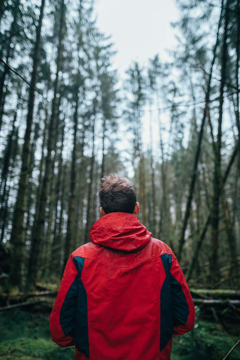 people tilt-shift photography of man standing surrounded by trees during daytime person