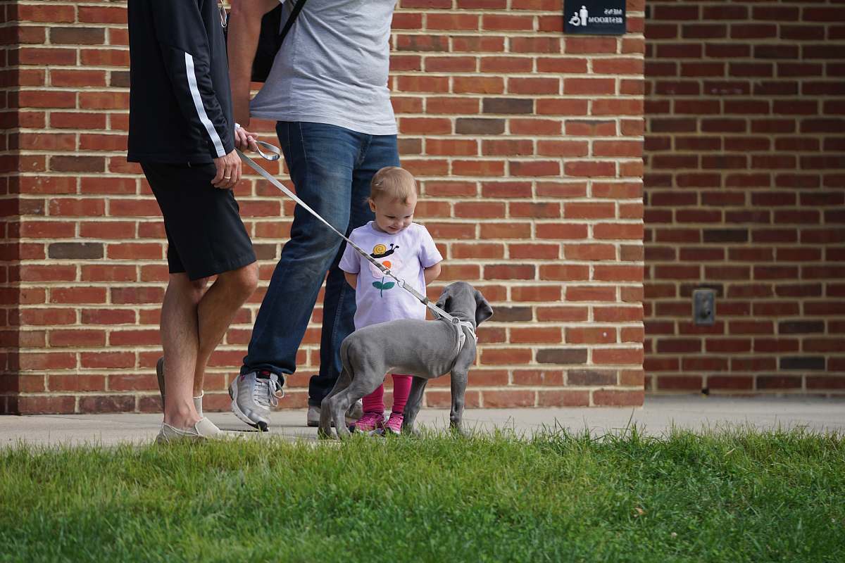 people two person standing near boy holding dog at daytime person