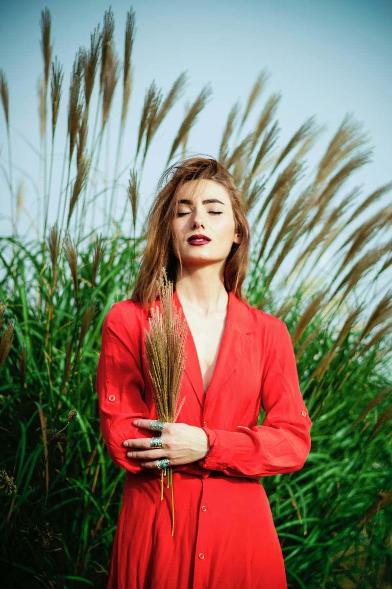 person woman holding brown wheat near green grasses people