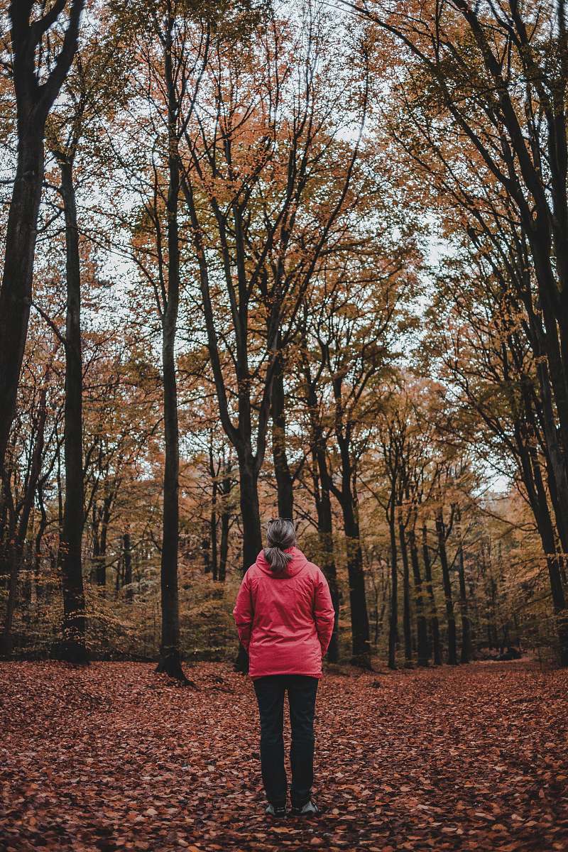 people woman standing between bare trees person