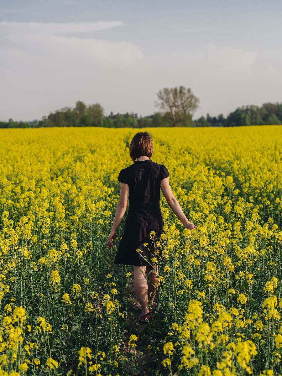people woman walking in yellow flower field person
