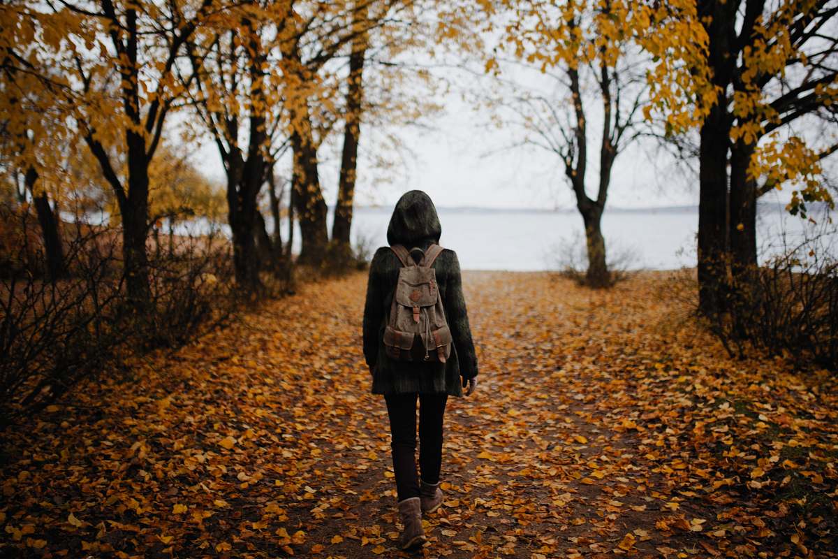 people woman walking on pathway with falling leaves near body of water during daytime person