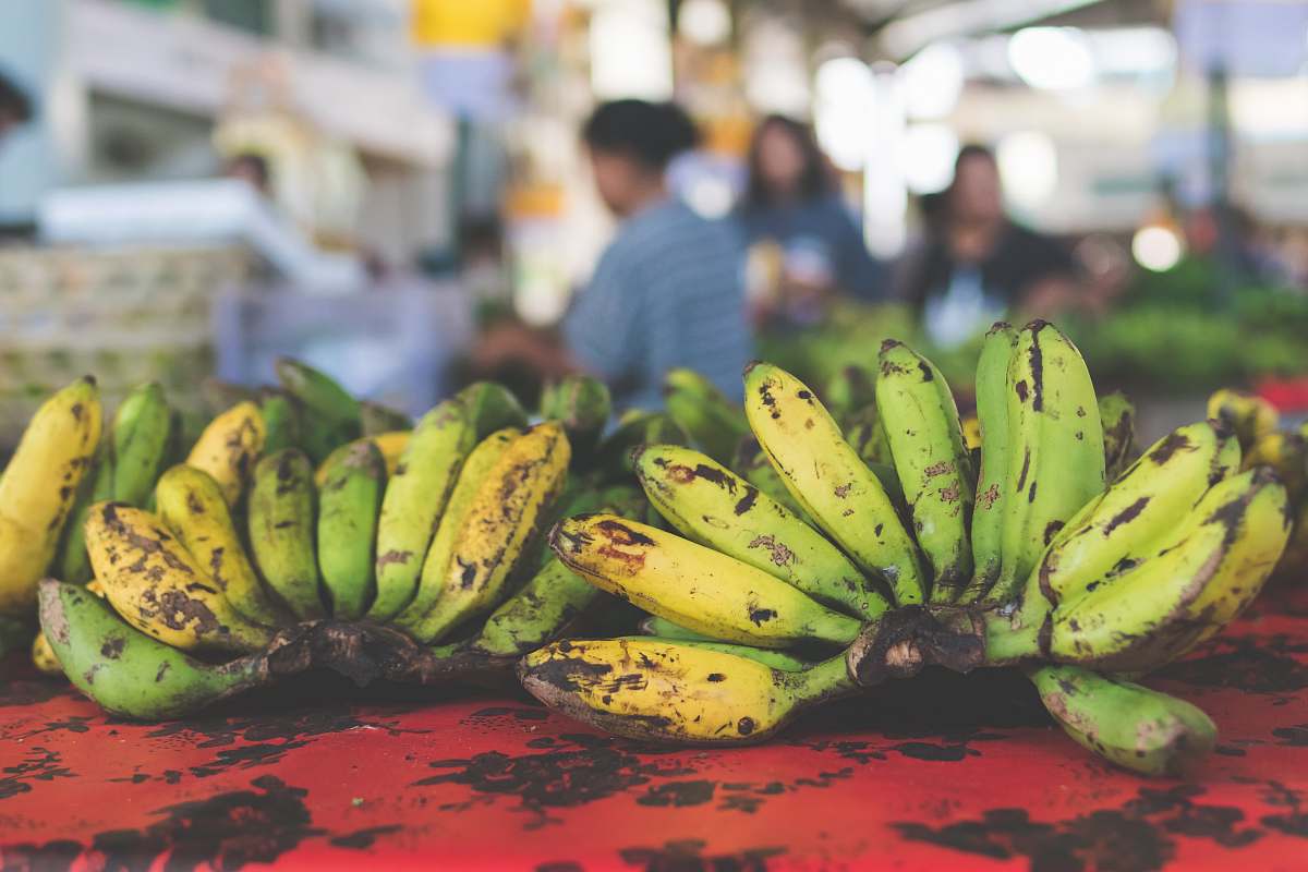 human bananas on red surface fruit