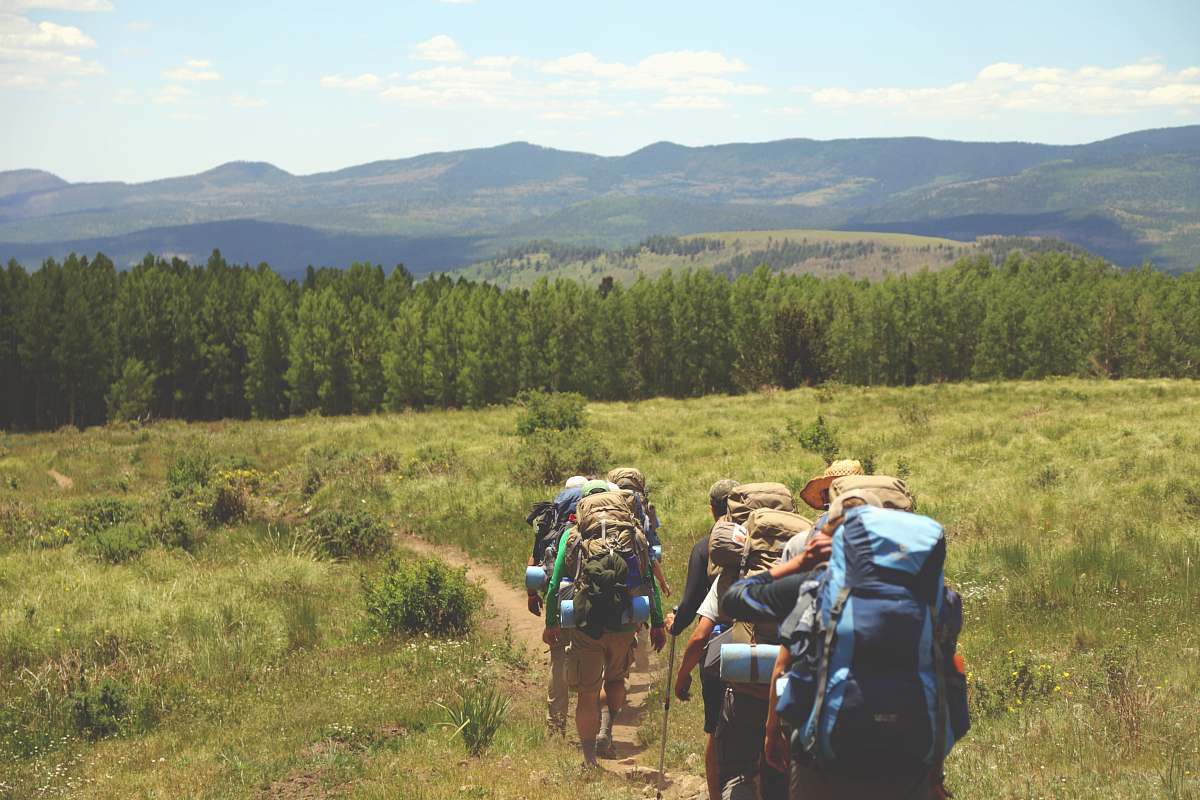 backpack group of people walking on pathway between green grass background of tree trees