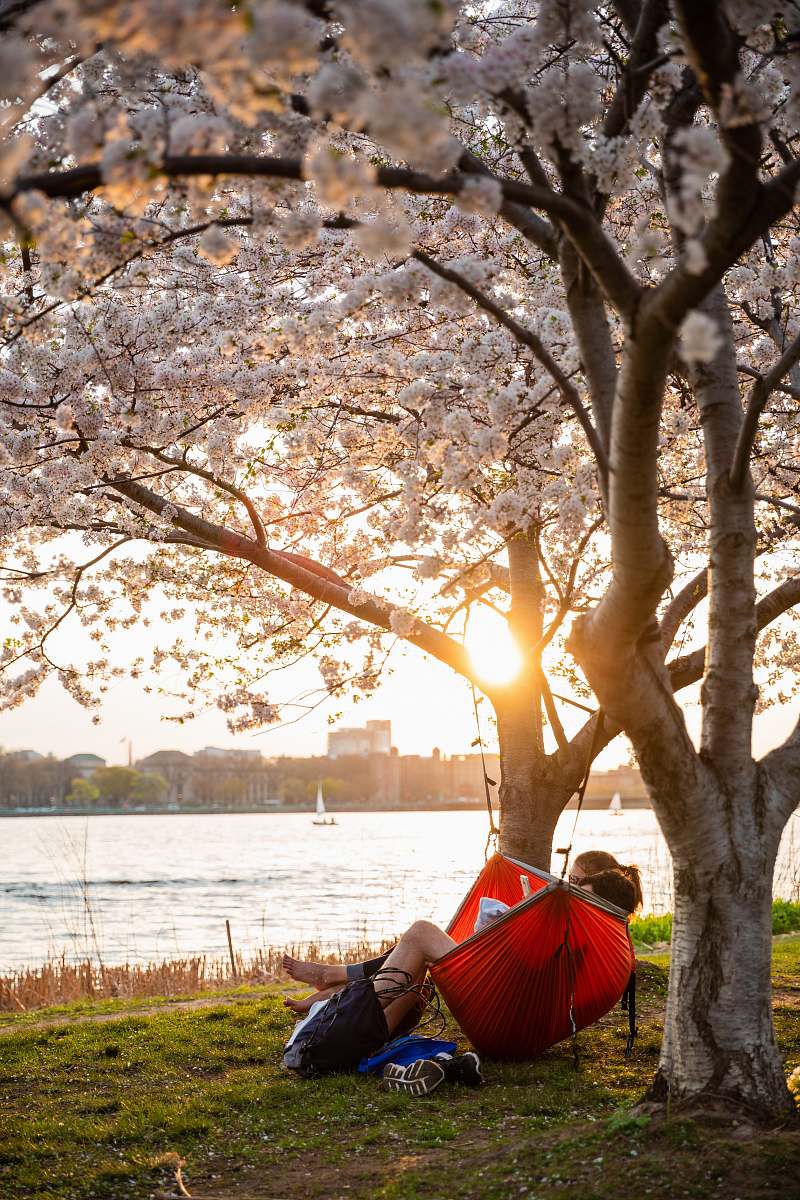 person man and woman riding on red hammock human
