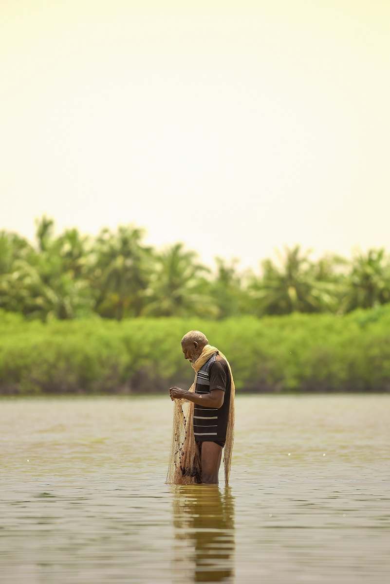 human man holding fish net standing on body of water person