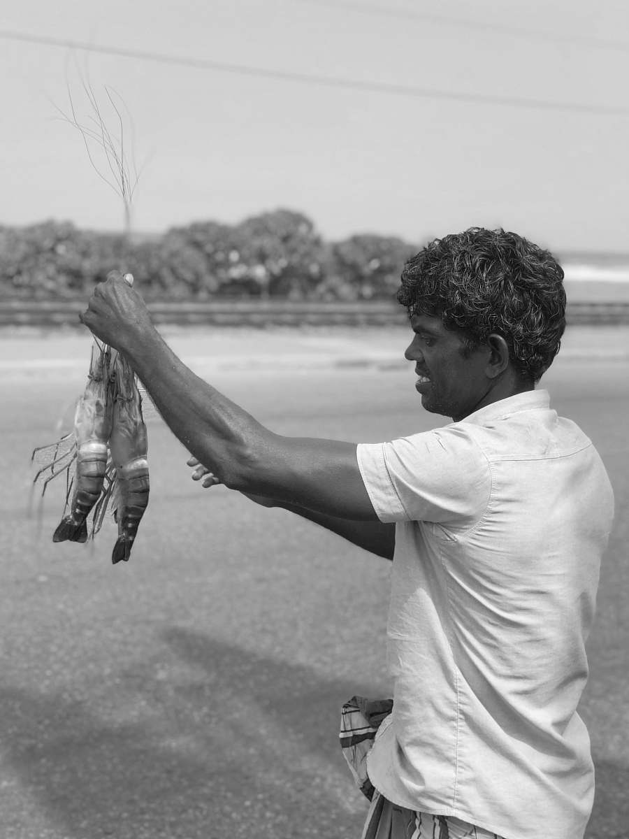 human man holding shrimps on shore grayscale photography black-and-white