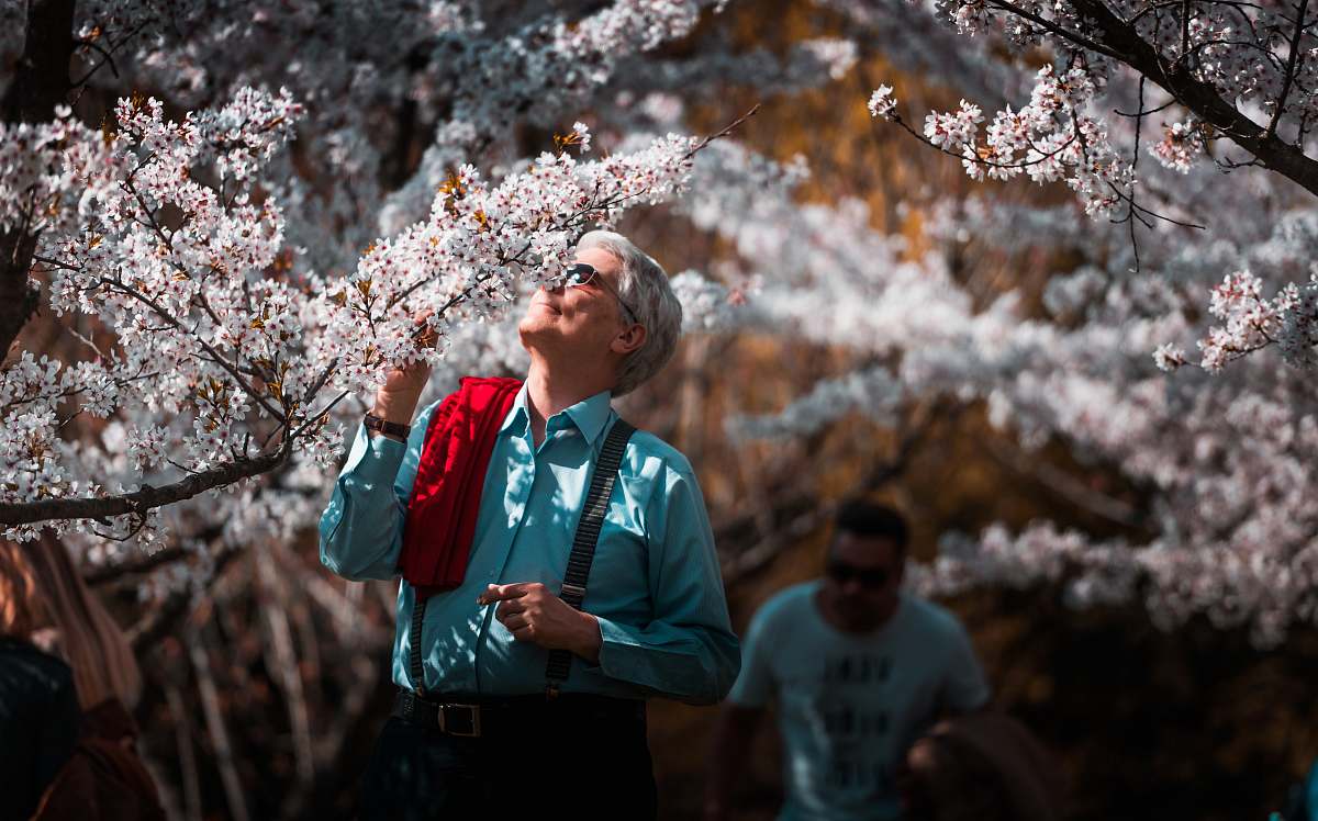 human man in teal dress shirt smelling white flower blossom