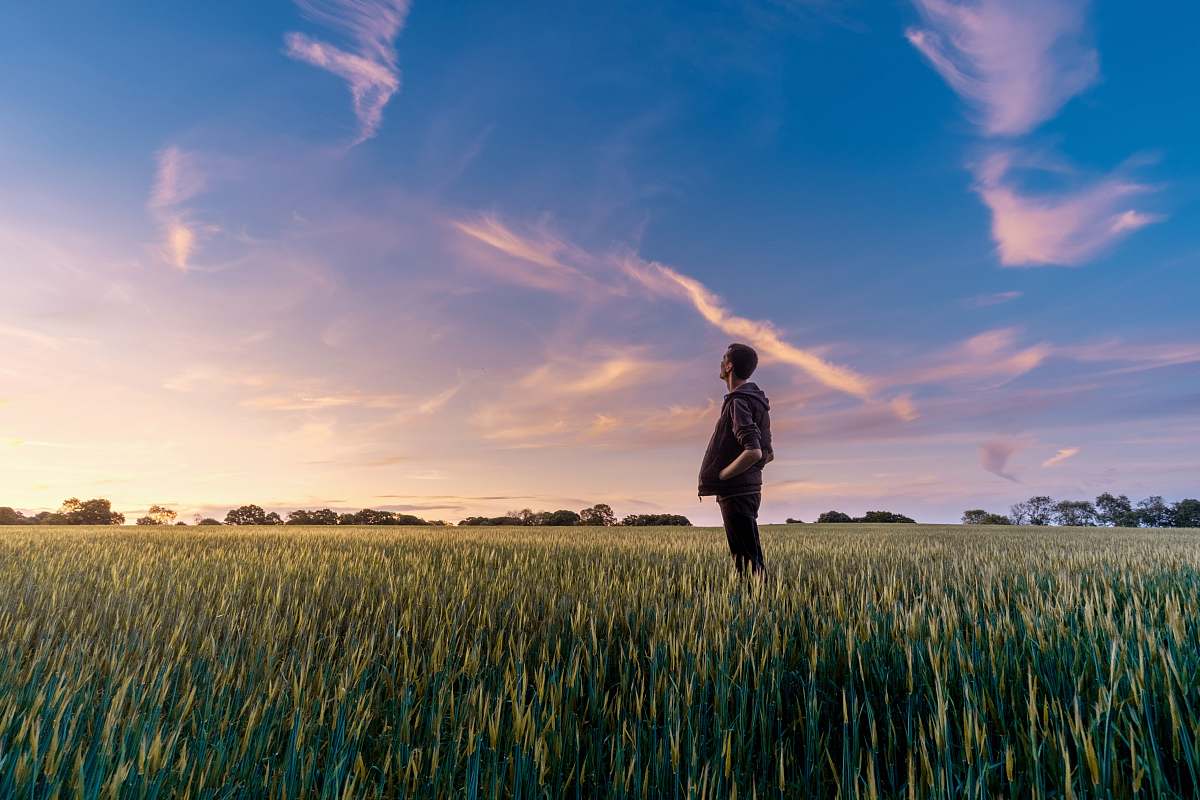 sunset man on grass field looking at sky field