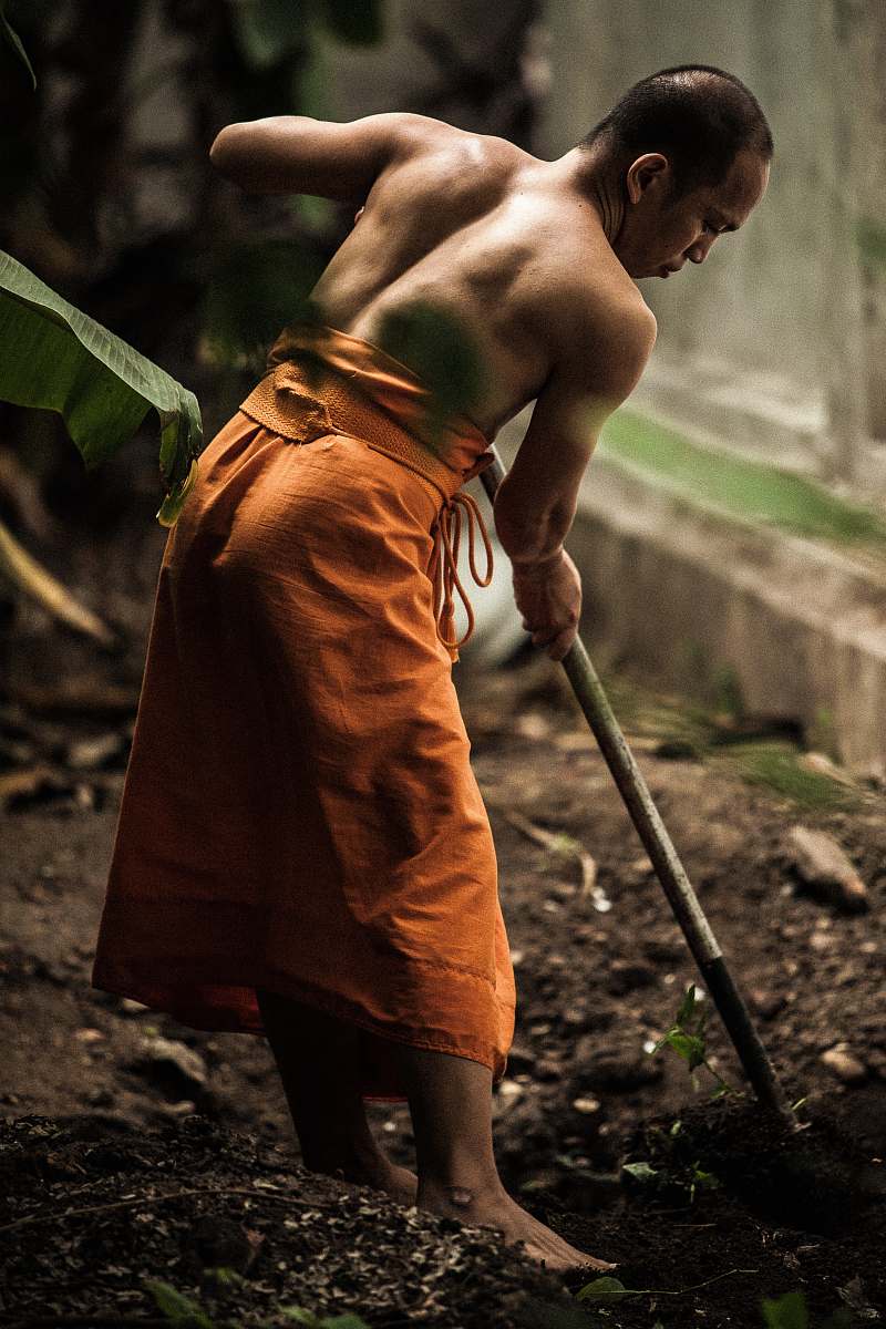 human monk gardening near grey wall person