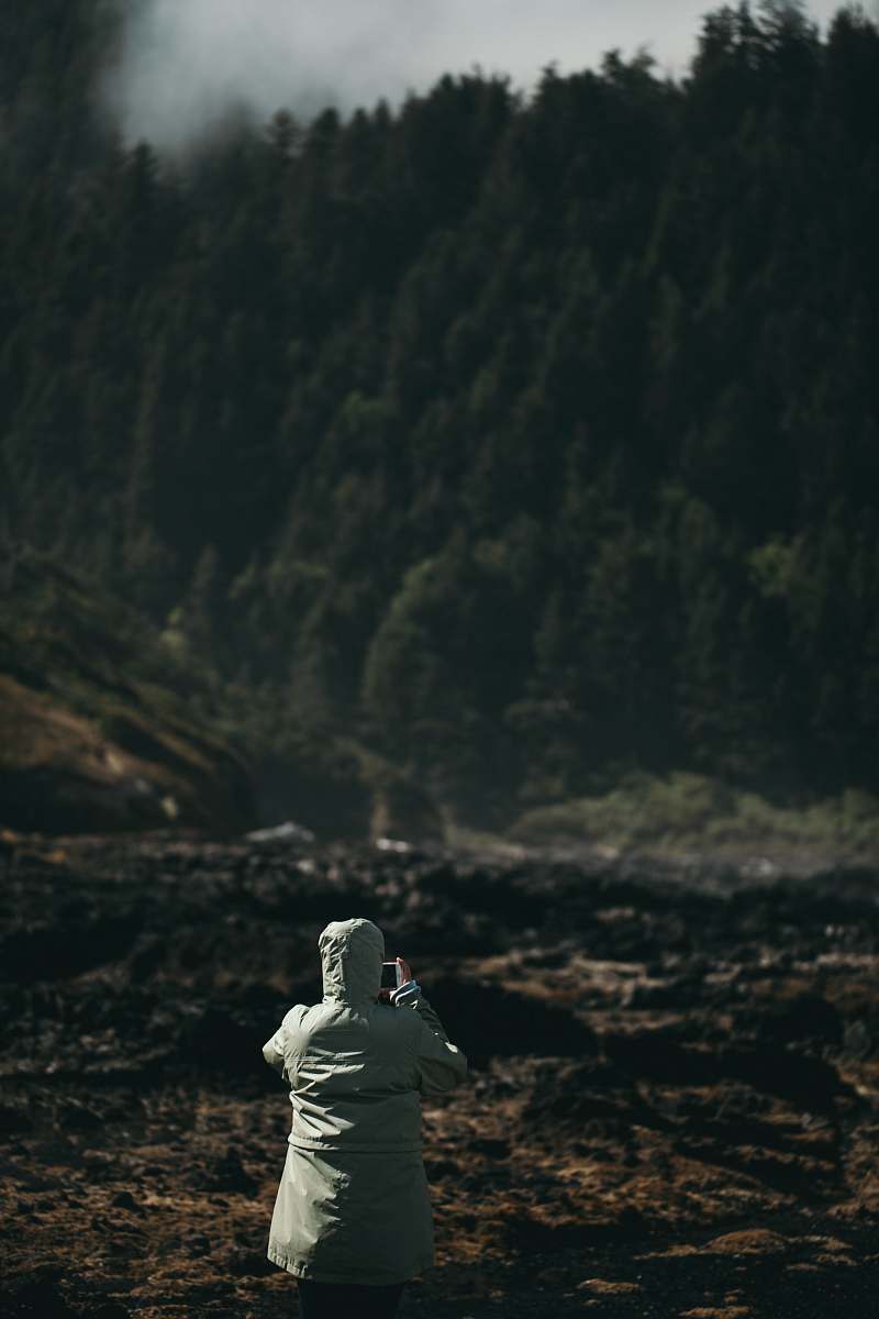 human person taking photo of trees person
