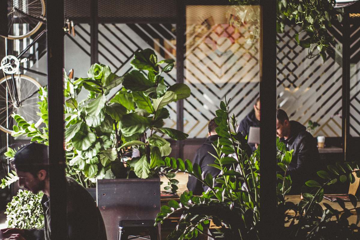 person several men in room beside green potted plants plant
