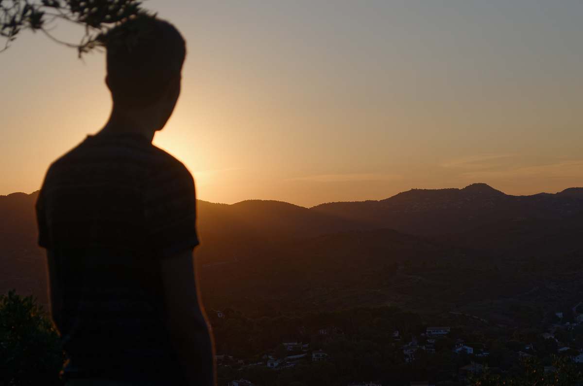 human silhouette photo of person standing near tall tree during dawn person