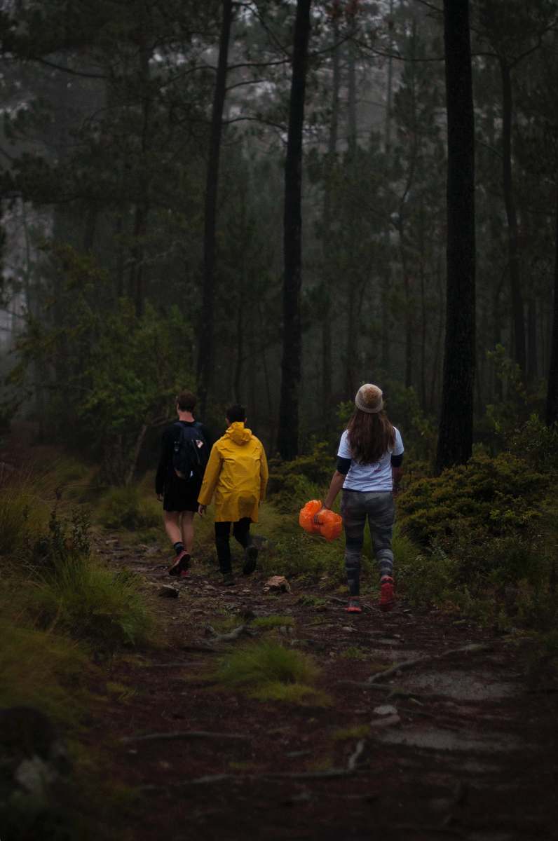 human three people walking on footpath near trees person