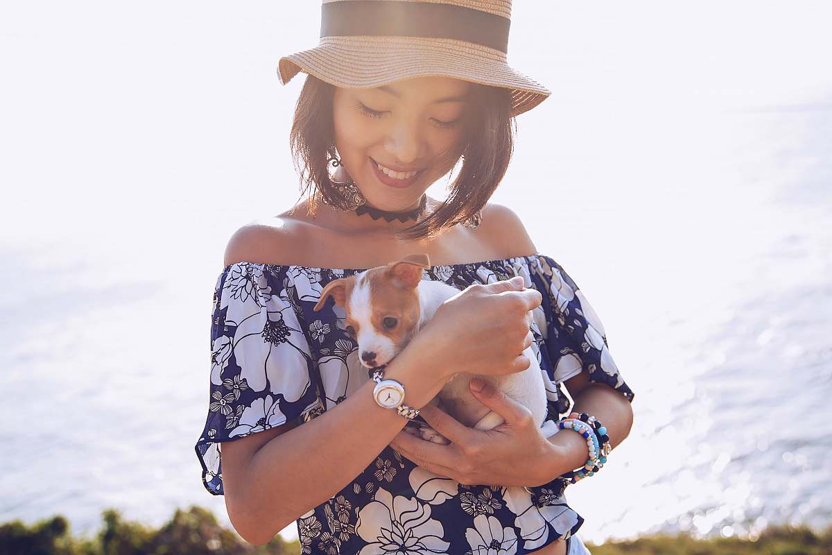 person woman carrying short-coated white and brown puppy dog