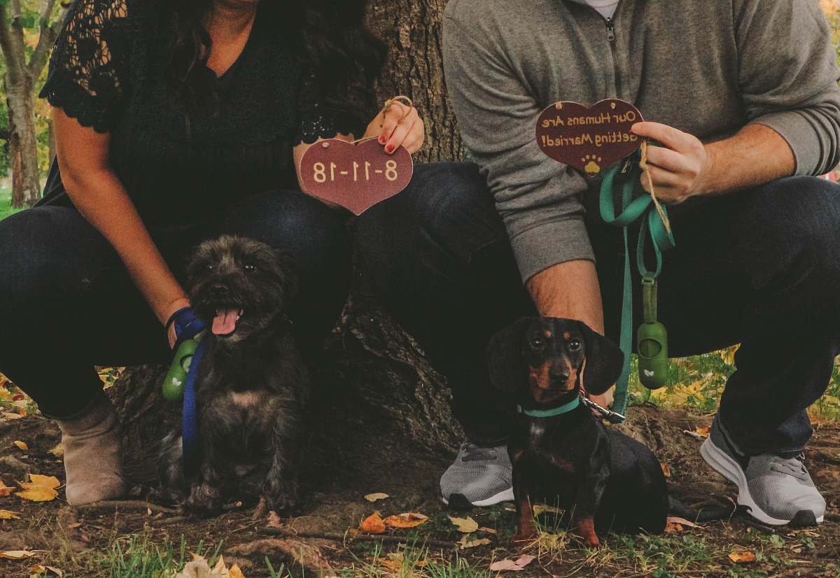 person woman holding dog beside man holding dog leaning on tree human