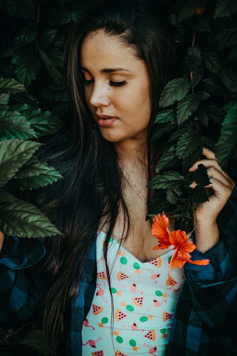 person woman holding green leafed plant human