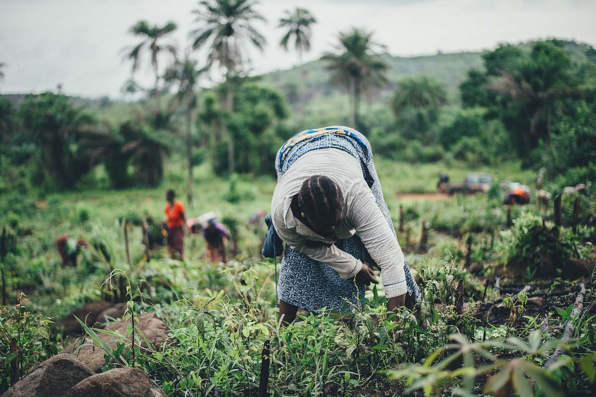 person woman planting during daytime worker