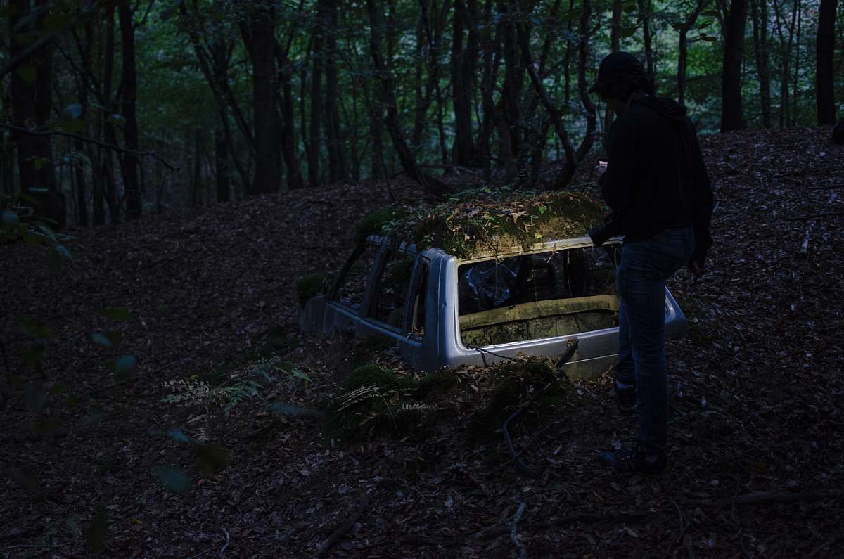 car landscape photography of man standing in front of half-buried broken car at forest forest