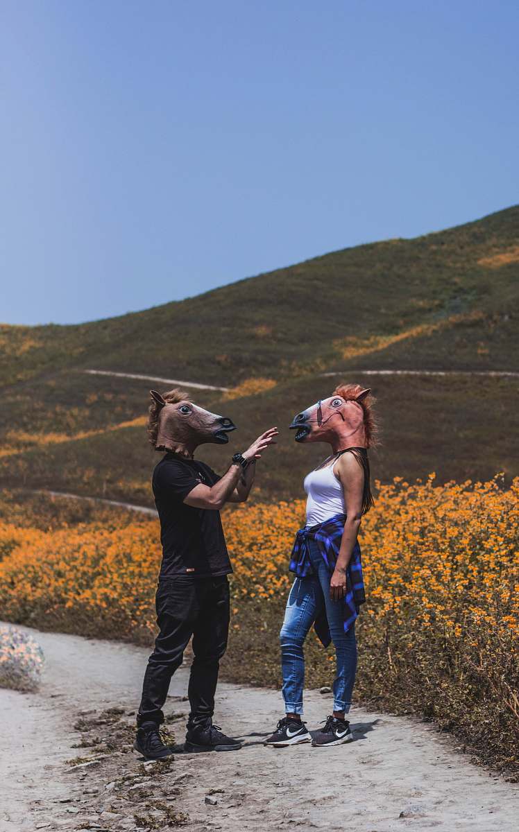 human man and woman facing each other while wearing horse masks near flower field during daytime people