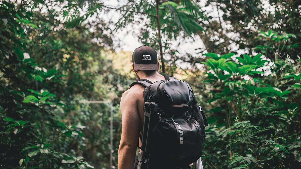people man carrying backpack in front of trees during daytime human