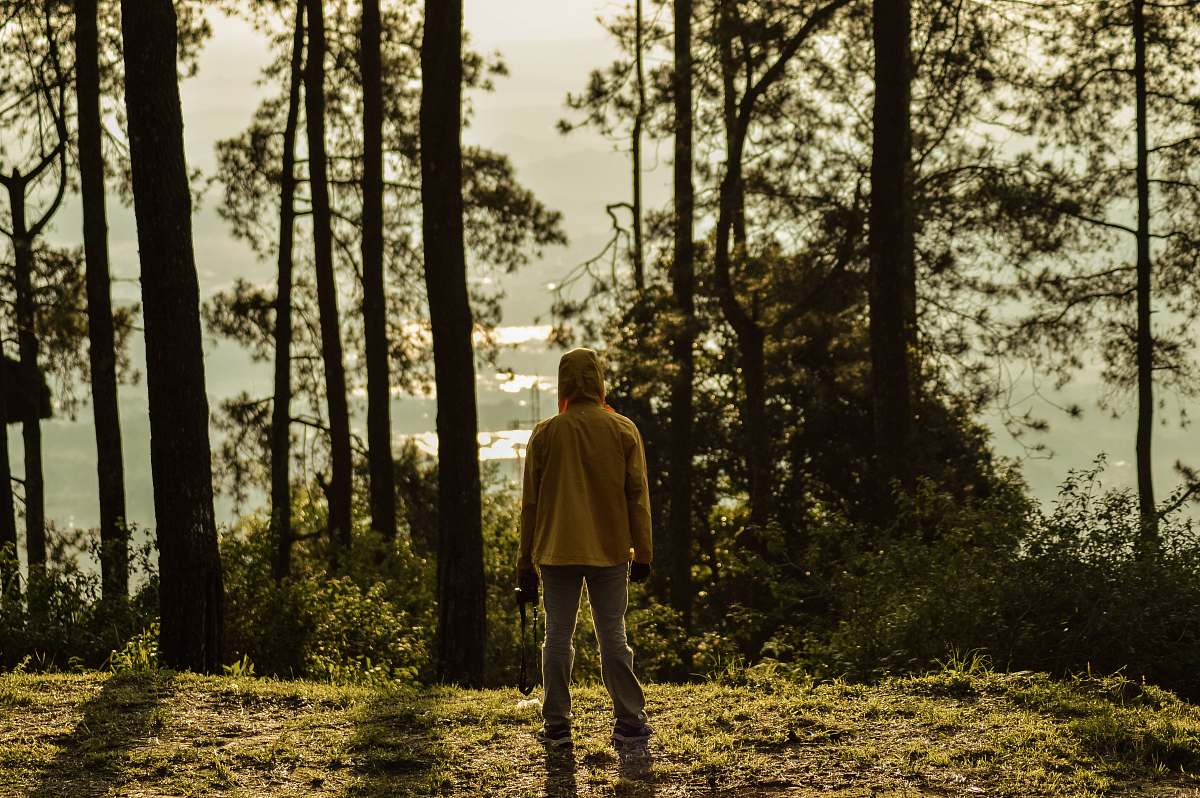 human man facing trees people