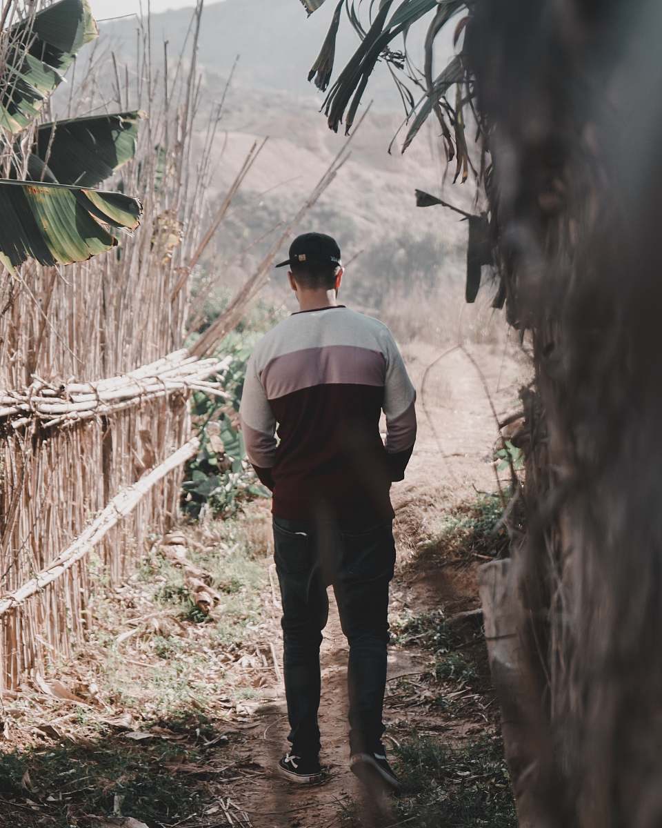 people man in white and black top standing near tree human