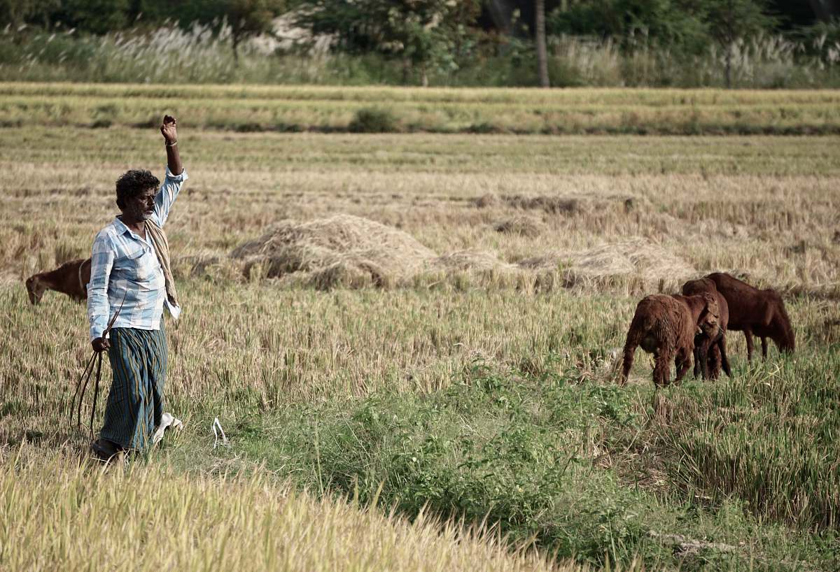 human man raising right hand on grass field people