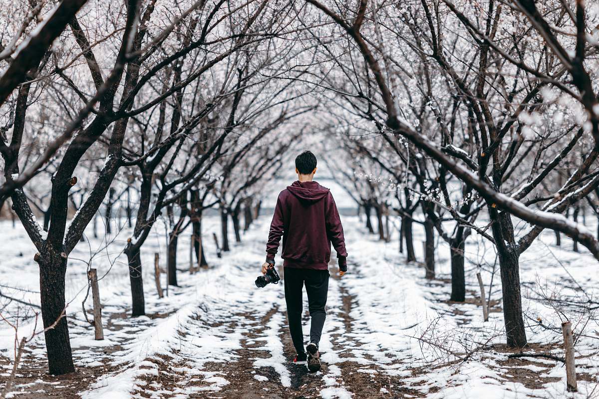 human man walking across the road surrounded by bare trees people