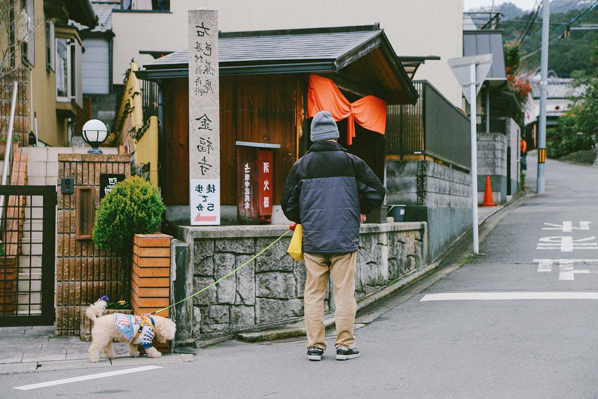 human man with dog walking on street during daytime people