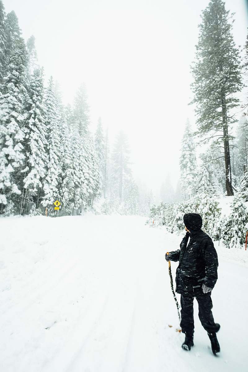 human person holding black ski pole between green pine trees covered with snow during daytime people