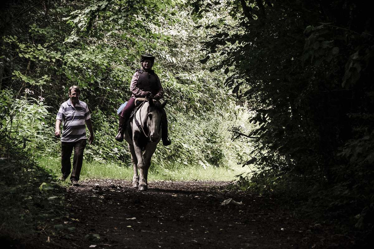 human person riding on horse beside man walking on forest people