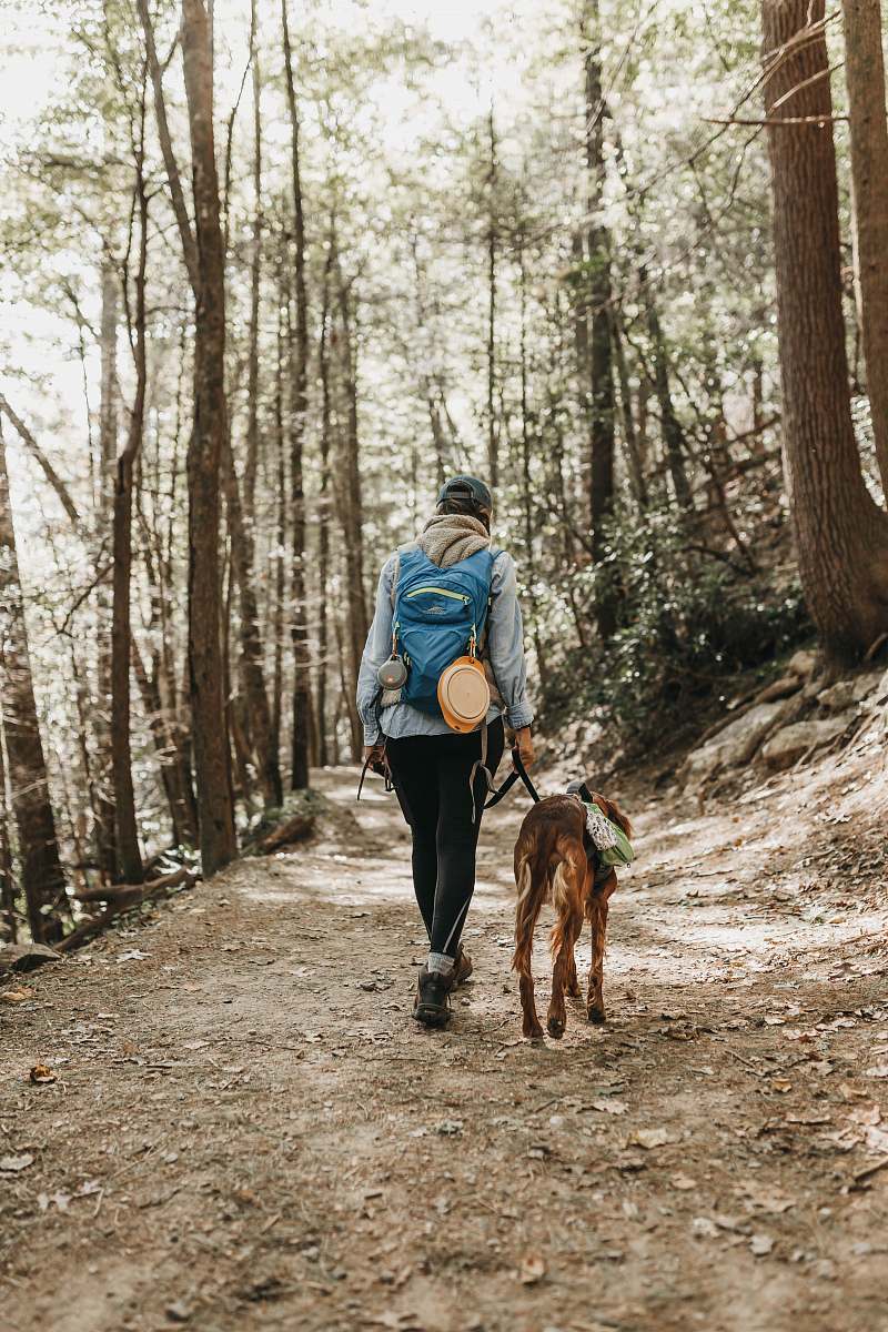 people person walking in forest human