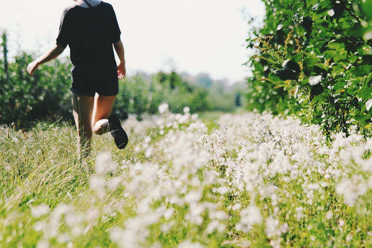 human person walking on white flower field people