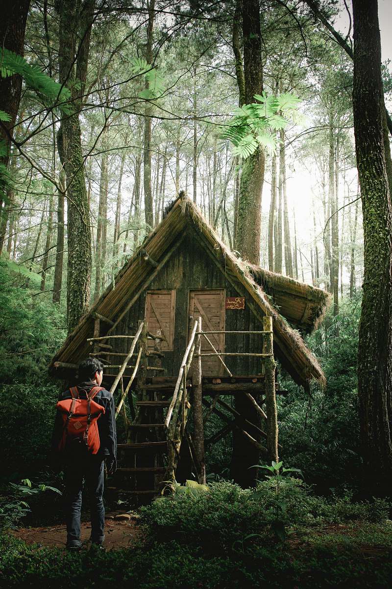 human photo of man standing infront of green wooden bungalow in the middle of forest people
