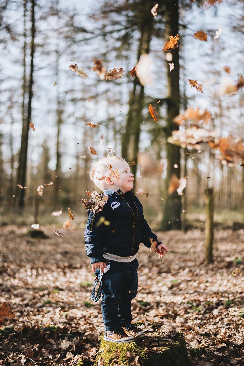 human shallow focus photography of children standing on brown dried leaf people