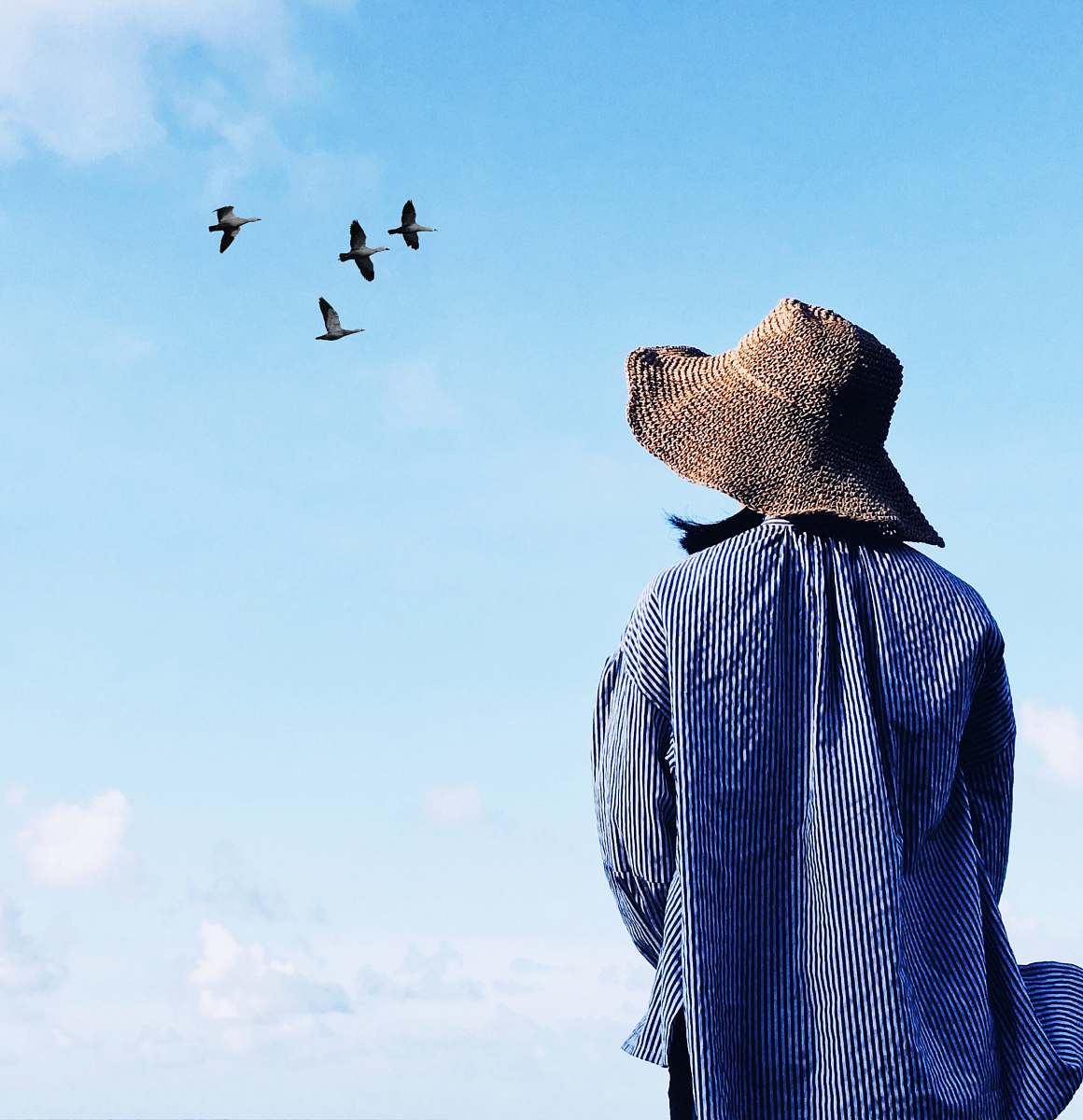 people woman looking at flying birds human