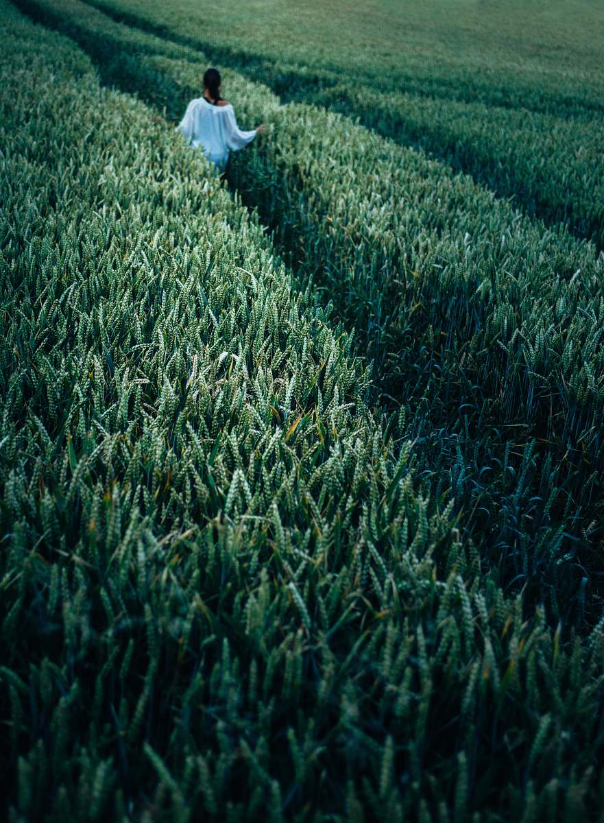 woman woman standing in wheat field field