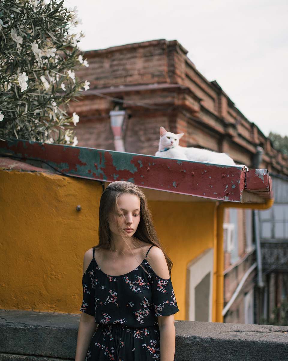 human woman wearing black floral cold-shoulder dress near white cat lying on roof people