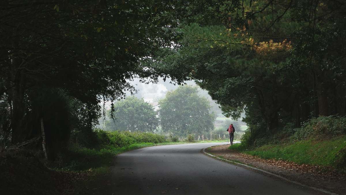 tarmac person walking towards trees road