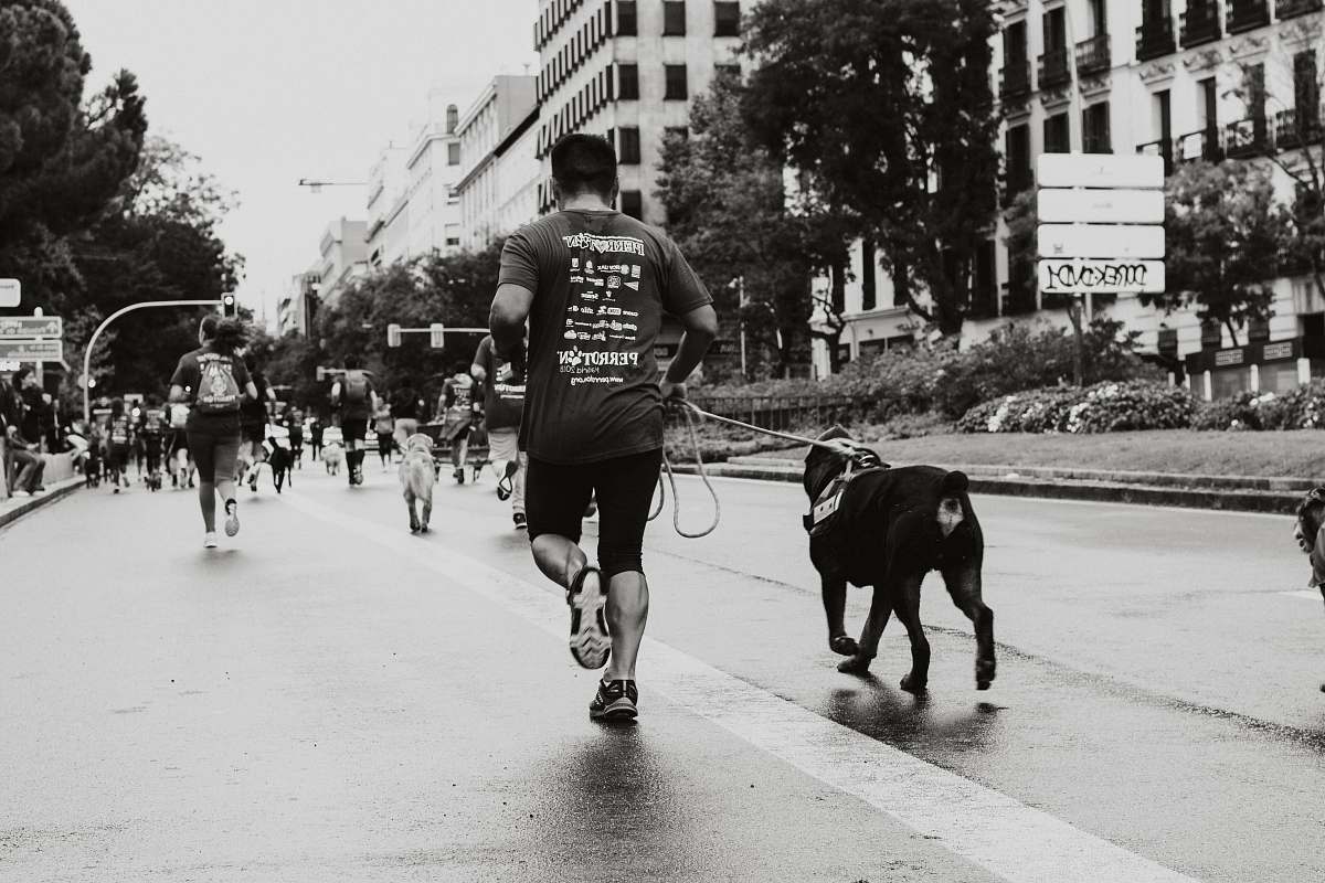 person person running with dog at the road human
