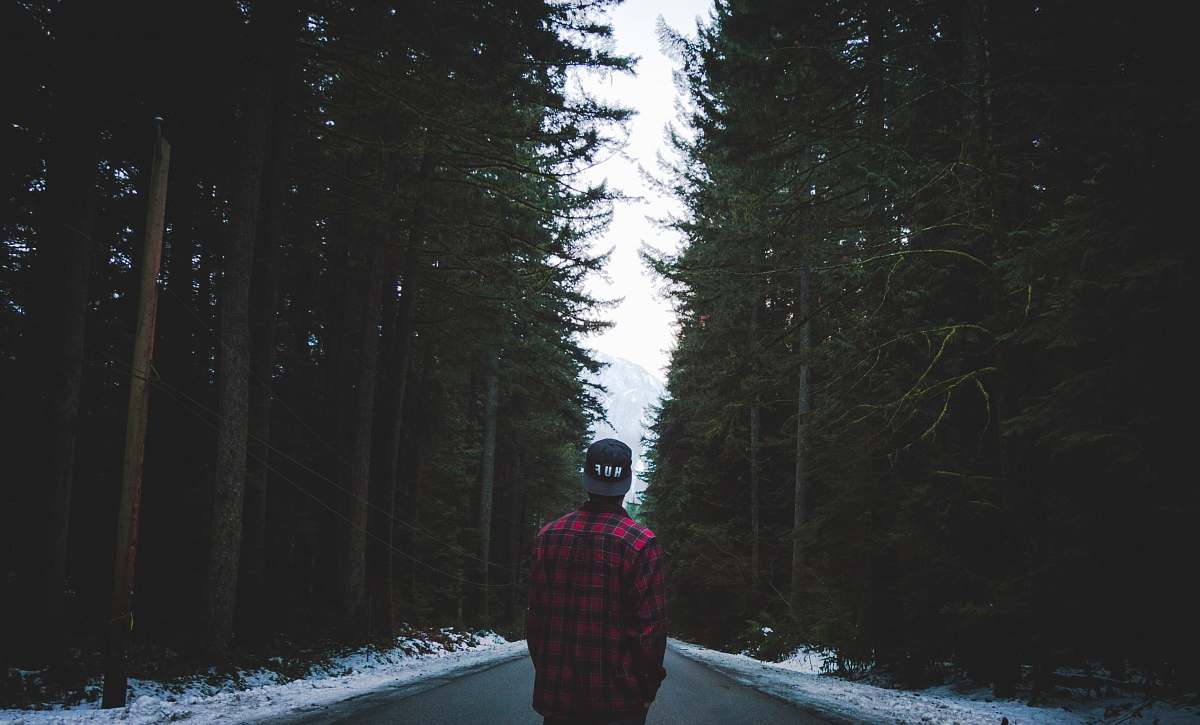 man person in plaid sport shirt standing on asphalt road between trees male